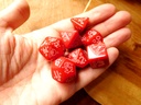 Dice Set - Shark 