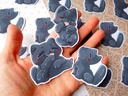 Black kitty sticker