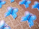 Blue Butterfly - Limited Edition