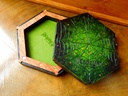 Dice Tray - Mossy Spider