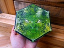 Dice Tray - Forest Dragon