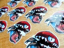 Mimic Pokéball - Limited Edition