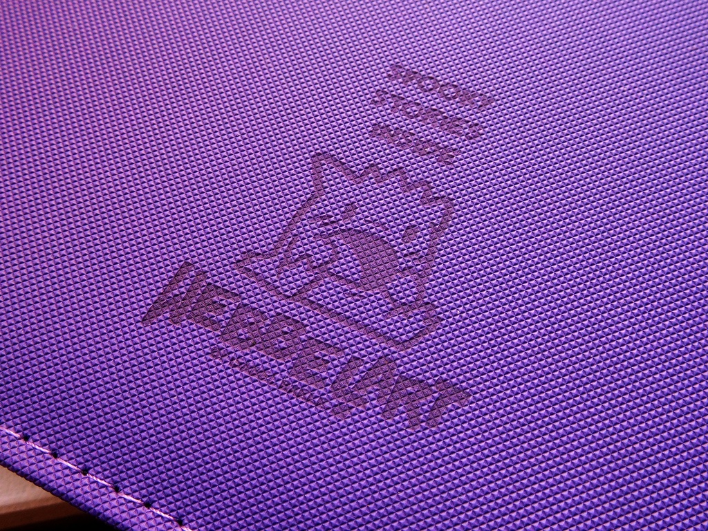 Gengar 12 sleeves Binder