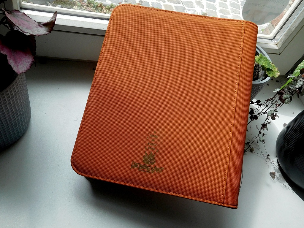 Charizard family 4 sleeves Binder