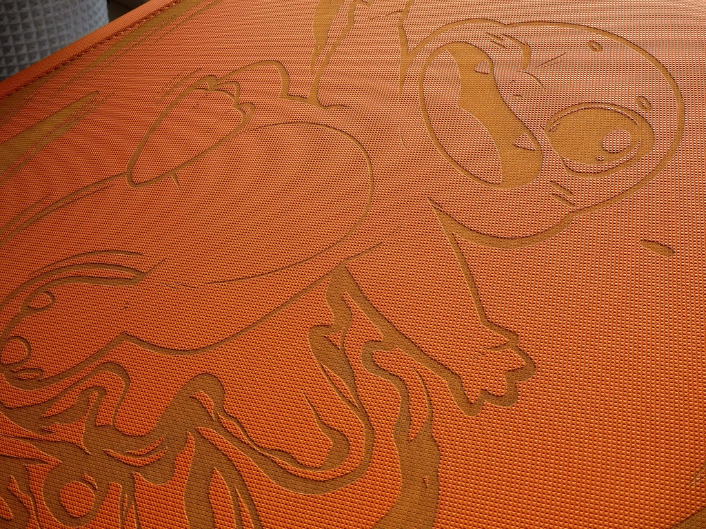 Charmander 12 sleeves Binder