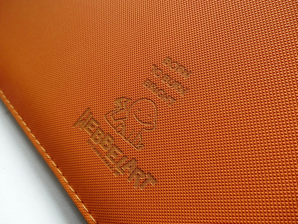 Charmander 12 sleeves Binder