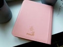 Sylveon 4 sleeves Binder