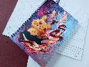 DSCN1007.webp
