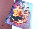 DSCN1003.webp