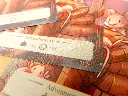 DSCN0713.webp