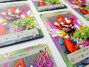 detail shot dnd card
