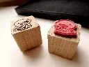 close up squirtle stamp