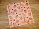 Lens cleaning cloth pokemon Eevee - microfiber cloth for glasses and screens - Webbelart