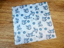 Lens cleaning cloth pokemon Glaceon - microfiber cloth for glasses and screens - Webbelart