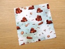 Lens cleaning Platypus microfiber cloth for glasses and screens - Webbelart