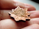 Canine - Wooden Pin