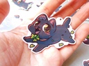 Lucky Black Cat