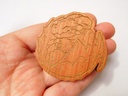 Dragon - Wooden Pin