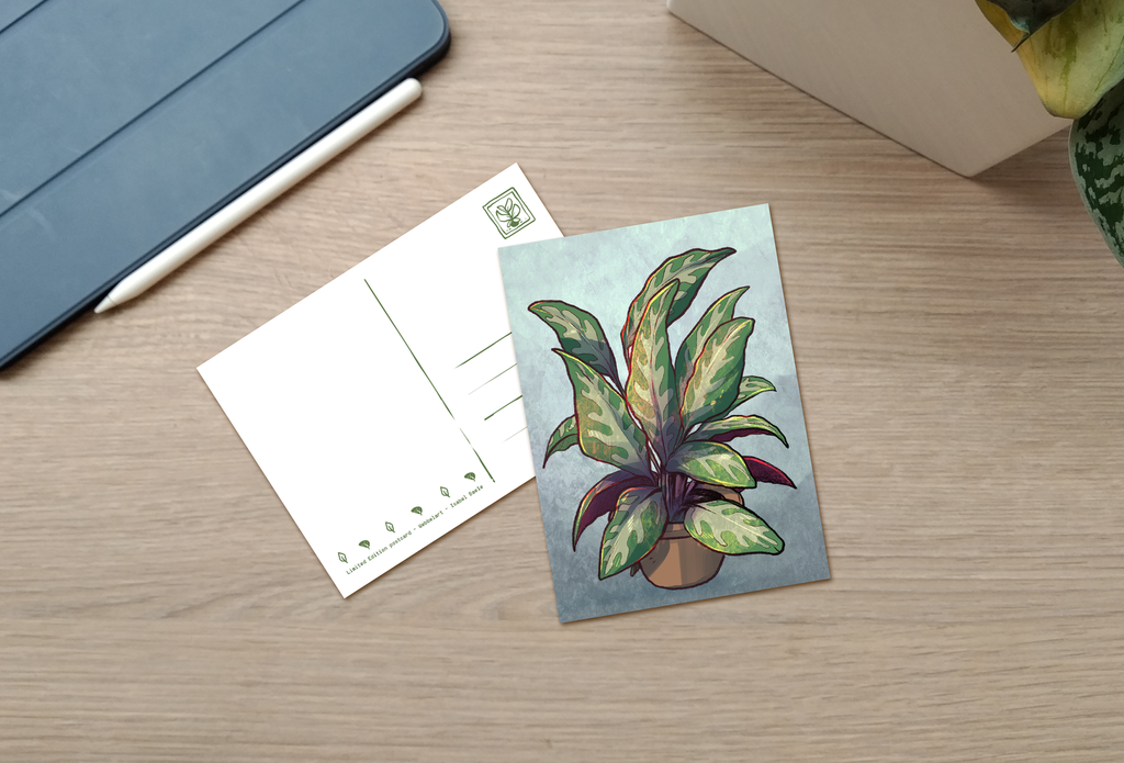 Postcard - DramaQueen houseplant
