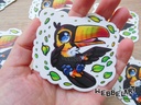 Tropical toucan Vinyl Sticker