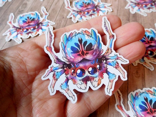 Peacock Jumping Spider - Sticker