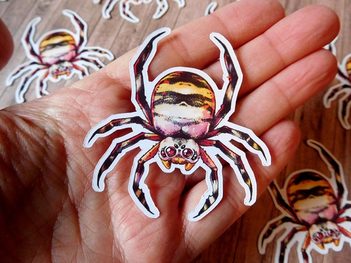 Wasp Spider - Sticker