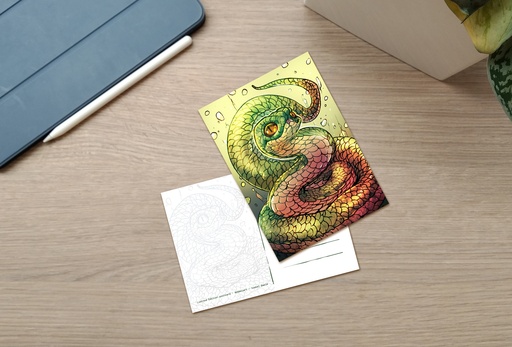 Postcard - Snake - Limited Edition